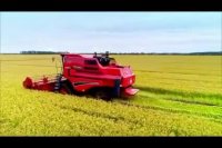 پیام سال نو شی جین پینگ رییس جمهور چین