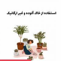 دلایل ابتلای گیاه به شپشک آرد آلود