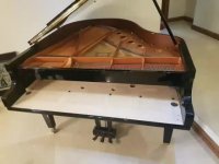 کوک پیانو و رگلاژ  09125633895