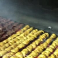 ماهیچه و شیشلیک رستوران ارم شاندیز بی نظیر بود