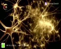 تاثیر آموزش در خردسال و کودک - توانای تشخیص چهره ذاتی نوزادان و خردسالان