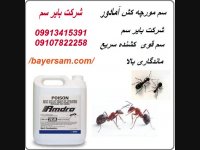موثرترین سم مورچه کش خارجی بایر سم