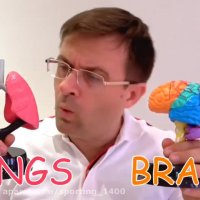 دیانا شو - دیانا روما جدید - سرگرمی دیانا روما با تب بازی