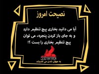 کار ابلهانه