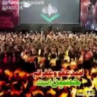 طبیب و درد و درمانم حسین است