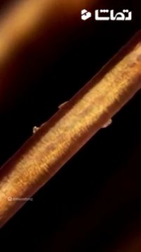 زوم بی نهایت بر روی تار مو