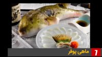 با عجیب ترین غذاهای دنیا آشنا شوید