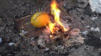 آتش درست کردن با لیمو