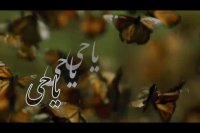 مناجات امیر مومنان  حضرت علی (ع) در مسجد کوفه