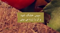 خداوند دنیا را چکونه تعریف کرده است اینجا ببینید | المفلحون HD