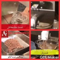 دستگاه روغن گیر دانه های روغنی