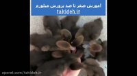 بسته آموزش پرورش صنعتی میل ورم takideh.ir