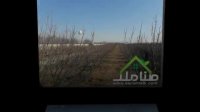 فروش باغ مناسب تفکیک در صفادشت کد1244