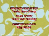 باب اسفنجی شغل تابستانی