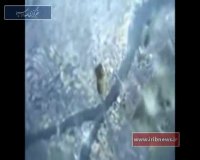 سالگرد حمله اتمی امریکا به هیروشیما