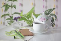 متحرکسازی نقاشی های روی دبه ی دنگ و دونگ