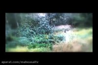 تیتراژ ماه عسل 86