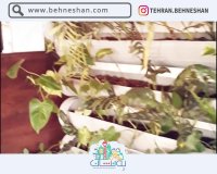 کافه همیشگی در هفت حوض تهران