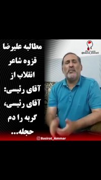 آقای رئیسی گربه را دم حجله بکشید!!