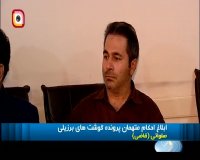 ابلاغ احکام متهمان پرونده گوشت های برزیلی