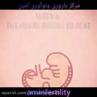 نحوه تشکیل جنین از هفته اول بارداری تا هفته چهل