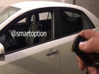 پاور ویندوز فابریک آریو Z300- اسمارت آپشن