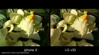 iphone X vs LG v30 Camera Comparison