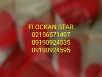 عرضه وپخش پودرمخمل ایرانی وترک//پودراکلیل02156571497