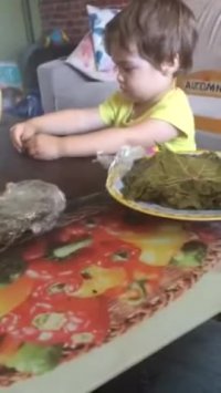 آموزش پیچیدن دلمه برگ مو