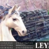 پرورش  اسب لیس کلاب