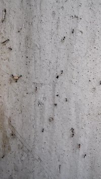 موفقیت در به روز آگهی