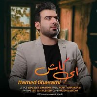 حامد قوامی جدید | آهنگ جدید حامد قوامی ای کاش | تهران سانگ