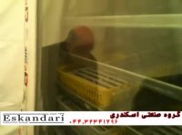 جوجه کشی و پرورش بلدرچین