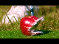 همه چیز در دنیای اسلوموشن شگفت انگیز تر است !