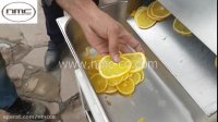 اسلایسر پرتقال - اسلایسر حلقوی میوه - اسلایس میوه جات