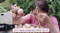 درآمد بالای یک دختر چینی از فروش تخم مرغ
