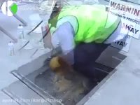 اجرای سقف های پیش تنیده