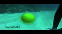 شکستن تخم در زیر آب