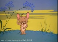 کارتون تام و جری موش و گربه **