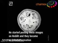 حرکات زنده و جالب میوه ها زیر دستگاه «ام آر آی»