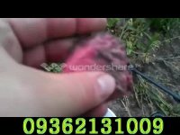 garrettدستگاه طلایاب09362131009-09372131009