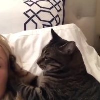 محبت کردن از مدل گربه ای!