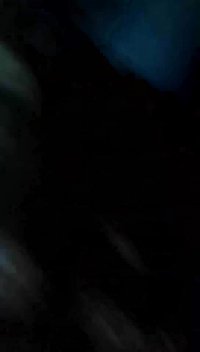 تمام باربیهام