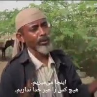 تغذیه با برگ درختان !!!