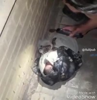 رهاکردن نوزاد کنار دیوار بهزیستی اصفهان