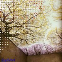 گروه پارتاکمجری سقف کشسان در اصفهان