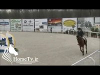 مسابقات پرش با اسب و باراژ زدن حرفه ای