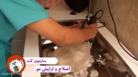 آرایشگاه گربه در تهران