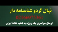 خرید نهال گردو چندلر | 09121270623