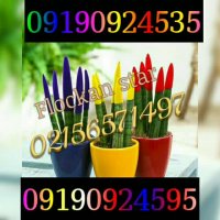 پودر فلوک/پودر مخمل02156571497